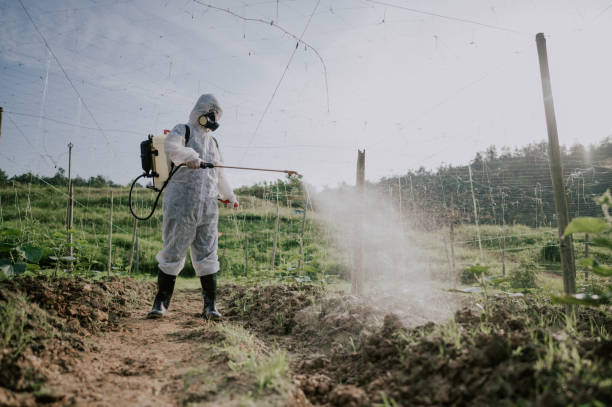 Best Pest Removal Services  in Attica, MI