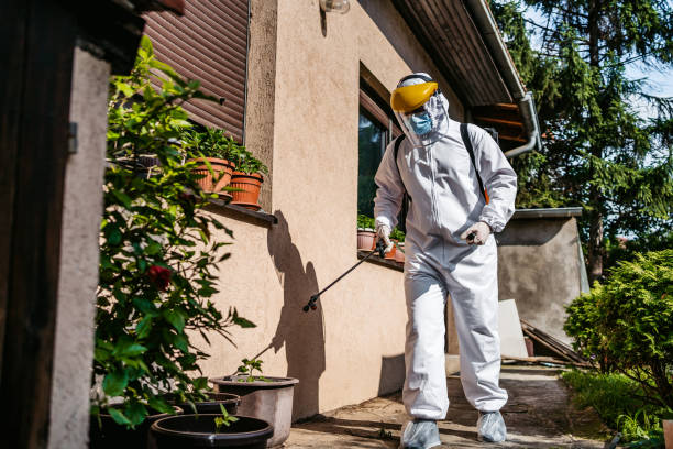 Flea Control Services in Attica, MI
