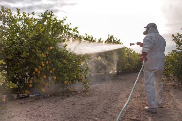 Best Pest Control Near Me  in Attica, MI