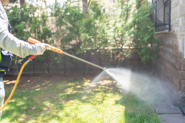 Best Bed Bug Extermination  in Attica, MI