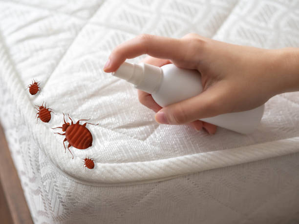 Insect Control in Attica, MI