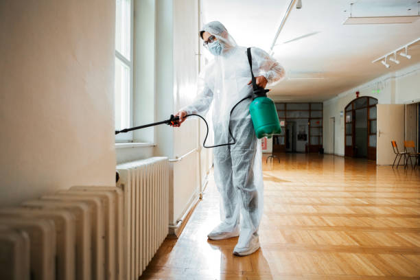 Best Cockroach Control Services  in Attica, MI