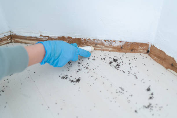 Best Insect Control  in Attica, MI