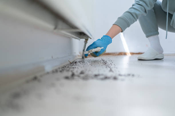 Best Pest Prevention Services  in Attica, MI