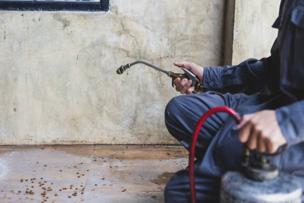 Best Termite Control Services  in Attica, MI