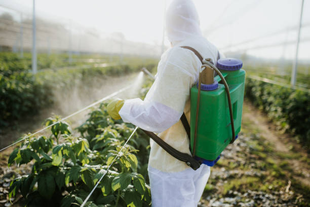 Trusted Attica, MI Pest Control Experts